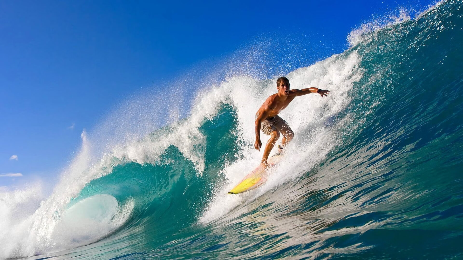 新闻中心组织员工培训活动，开展新闻培训